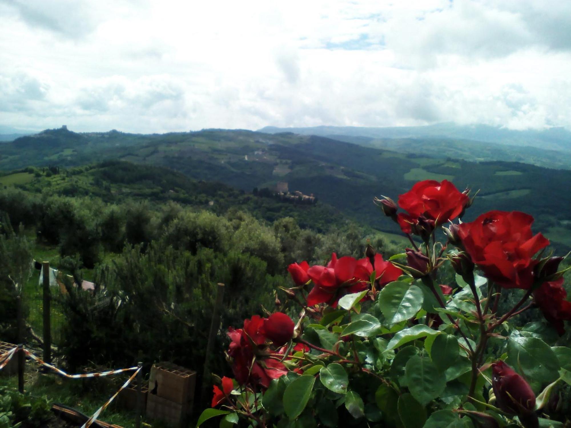 Hostal Poggio Al Vento Castiglione dʼOrcia Exterior foto